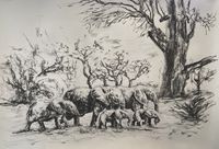 Vensa Temu, Tembo, (Elephant Family), 2023, Kohle auf Papier, fixiert mit Spray, 62 x 84 cm, signiert