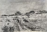 Vensa Temu, Tembo, (Elephants), 2023, Kohle auf Papier, fixiert mit Spray, 62 x 84 cm, signiert